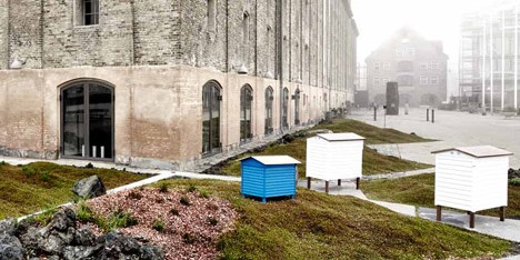 Noma restaurant landscaping by Polyform Architects