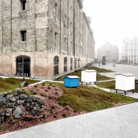 Noma restaurant landscaping by Polyform Architects