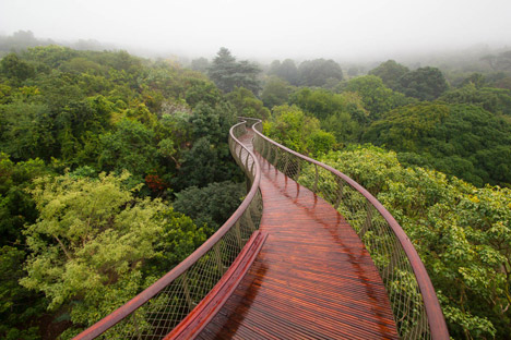 The Boomslang canopy walkway by Mark Thomas and Henry Fagan