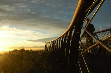 The Boomslang canopy walkway by Mark Thomas and Henry Fagan