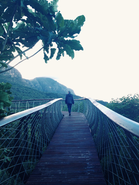 The Boomslang canopy walkway by Mark Thomas and Henry Fagan