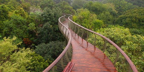 The Boomslang canopy walkway by Mark Thomas and Henry Fagan