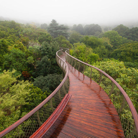 The Boomslang canopy walkway by Mark Thomas and Henry Fagan