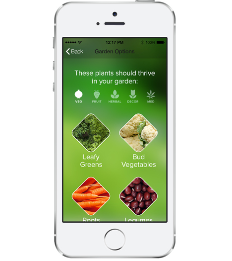 Yves Behar Edyn gardening app