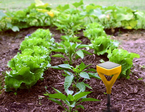 Yves Behar Edyn gardening app