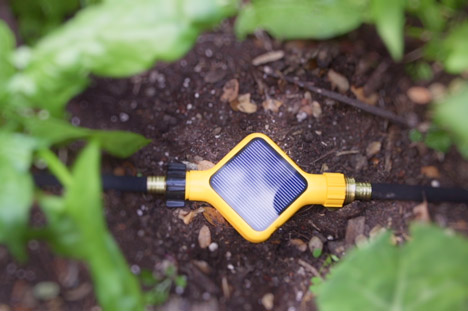 Yves Behar Edyn gardening app