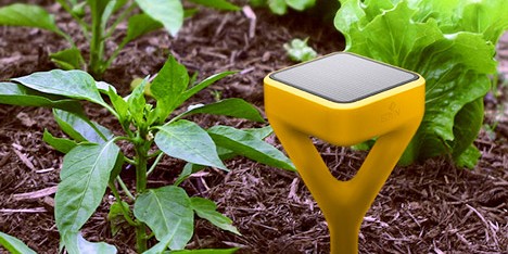 Yves Behar Edyn gardening app