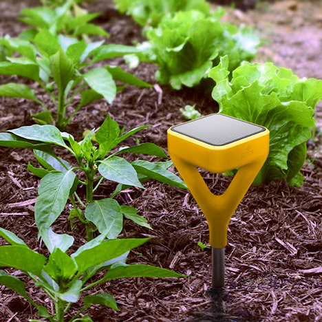 Yves Behar Edyn gardening app