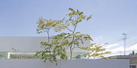 Floating fence surrounds house and doll-making atelier by UID Architects