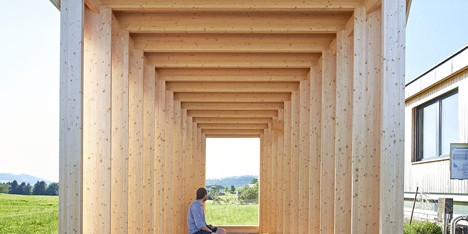 Dezeen Mail #213