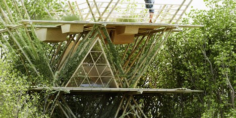 One With The Birds by Penda