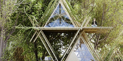 One With The Birds by Penda