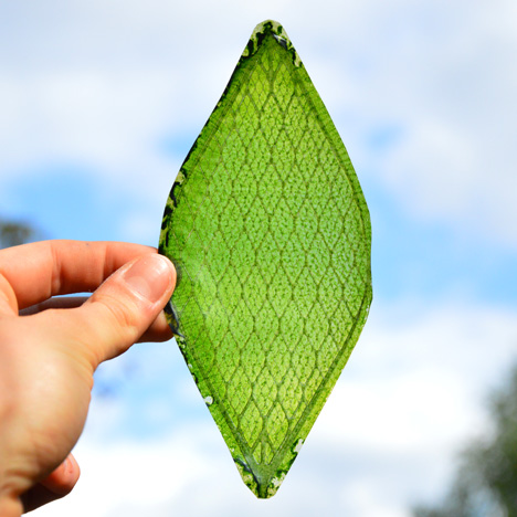 Silk Leaf by Julian Melchiorri