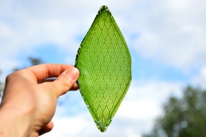 Silk Leaf by Julian Melchiorri Silk Leaf by Julian Melchiorri