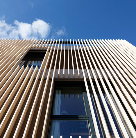 Striped Living by group8asia