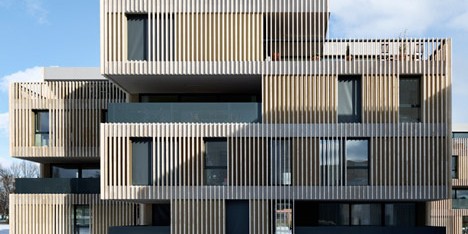 Striped Living by group8asia
