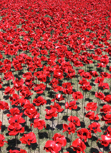 Blood Swept Lands and Seas of Red poppies installation at the Tower of London