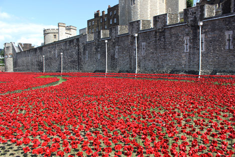 Blood Swept Lands and Seas of Red poppies installation at the Tower of London