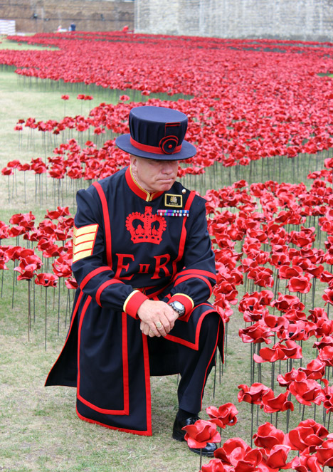 Blood Swept Lands and Seas of Red poppies installation at the Tower of London