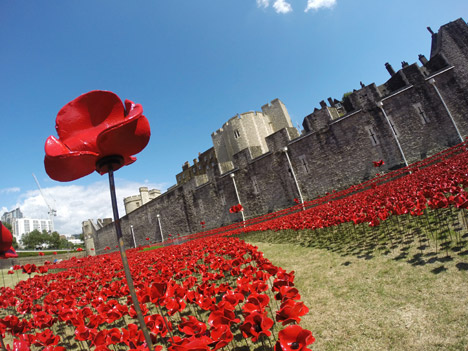 Blood Swept Lands and Seas of Red poppies installation at the Tower of London