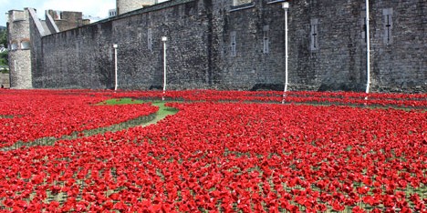 Blood Swept Lands and Seas of Red poppies installation at the Tower of London