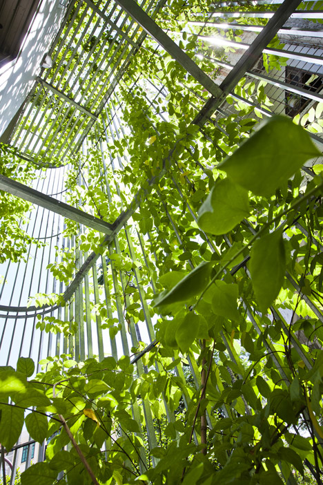 Green Renovation by Vo Trong Nghia