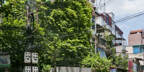 Green Renovation by Vo Trong Nghia