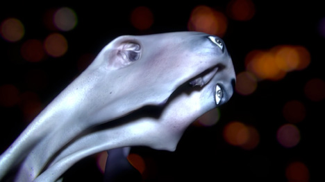 Je Pars music video by Hugo Arcier for HNN