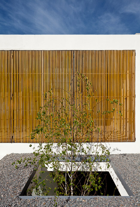 Pedro House by VDV ARQ