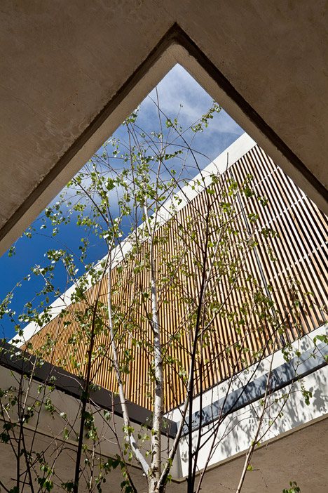 Pedro House by VDV ARQ