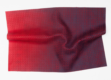 Visual Interferences by Pieteke Korte