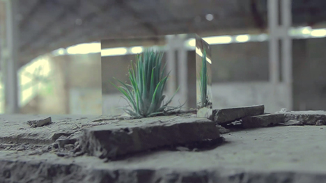 Was It You music video by Adi Ulmansky by Gal Muggia
