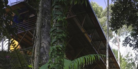 Shelter at Rainforest by Marra and Yeh Architects