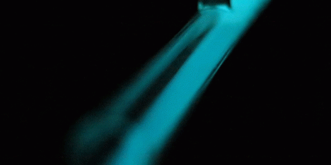 Bioluminescent lamp by Teresa van Dongen