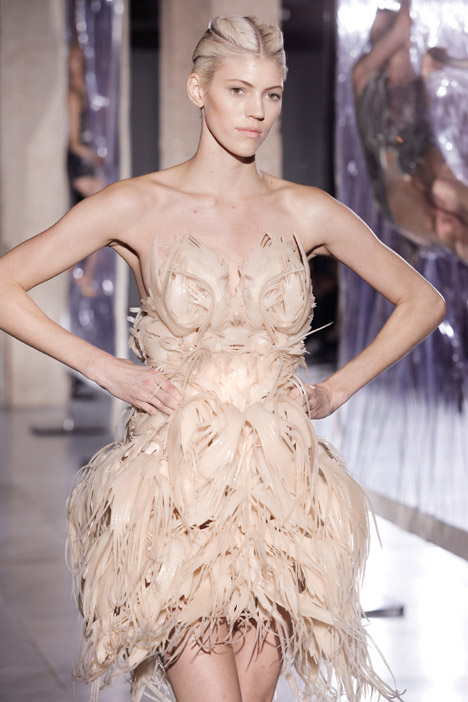 Bio Piracy Dress by Julia Koerner