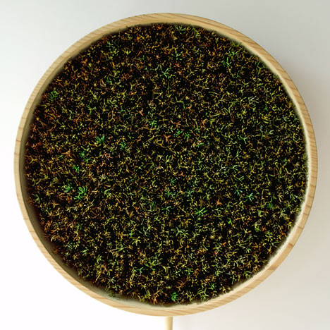 Bril’s Coniferous Clock is filled with leaves that take a year to die