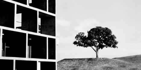 Lucien Herve High Court of Justice Chandigarh 1955