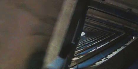 Month of Sundays music video by Callum Cooper for Metronomy