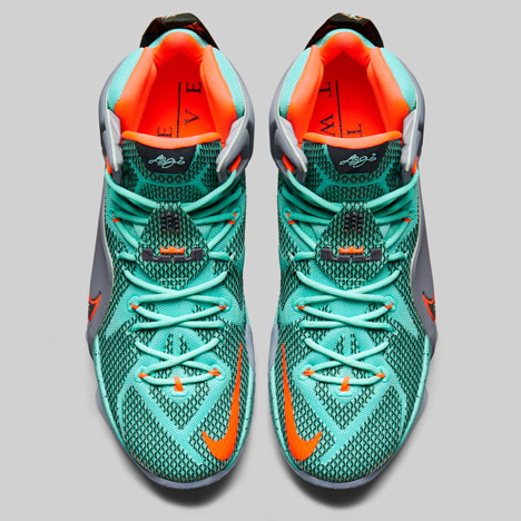 Nike Lebron 12