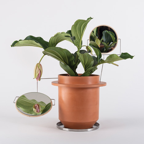 Phytophiler pot by Dossofiorito