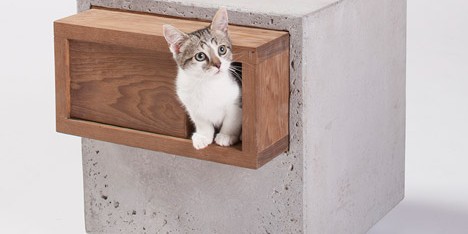 Architects for Animals cat house by Standard Architecture and Design