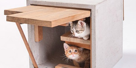 Today we like: architecture and design for cats