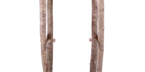 Hewn tea table by Sebastian Cox