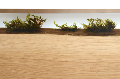 mint gallery alcarol for LDF