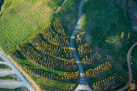 The National Arboretum Canberra by Taylor Cullity Lethlean and Tonkin Zulaikha Greer Architects