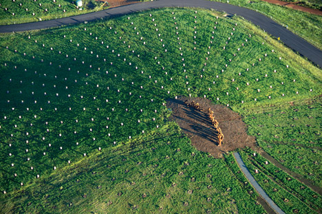 The National Arboretum Canberra by Taylor Cullity Lethlean and Tonkin Zulaikha Greer Architects