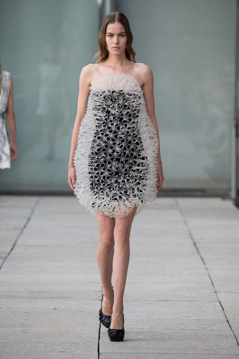 Spring Summer 2015 collection by Iris van Herpen