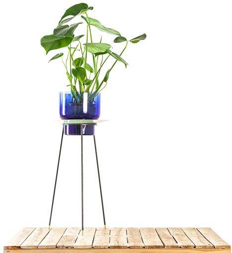 Narcissus vases by new craft