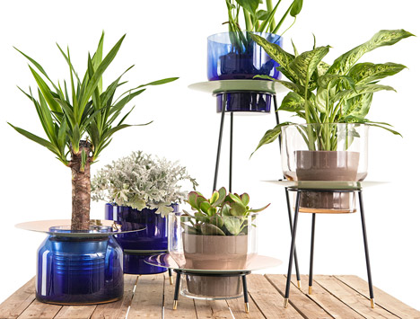 Narcissus vases by new craft