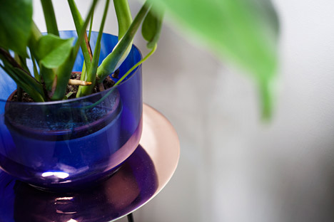 Narcissus vases by new craft
